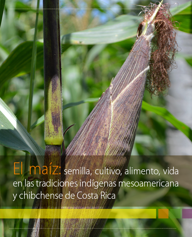 El maíz: semilla, cultivo, alimento, vida, en las tradiciones indígenas mesoamericana y chibchense de Costa Rica